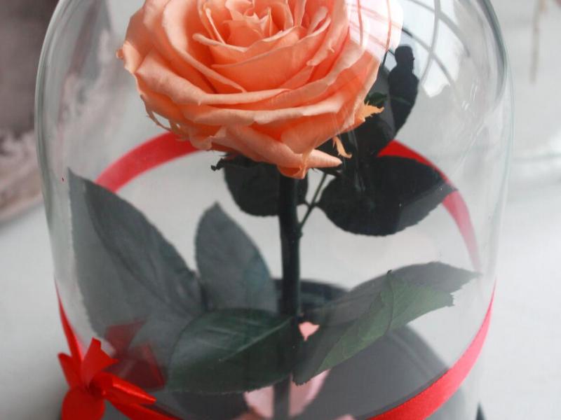 Стабилизированная роза в колбе Premium